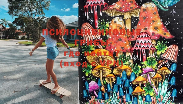 марки lsd Горняк
