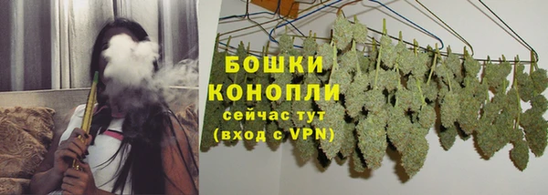 ALPHA PVP Горно-Алтайск