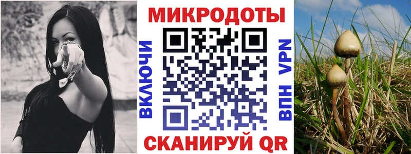 Галлюциногенные грибы MAGIC MUSHROOMS  магазин    Гусиноозёрск 